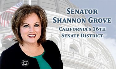 Senator Shannon Grove