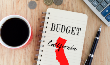 CA Budget Snapshot 2021